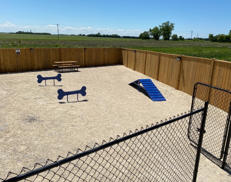 Dogpark1